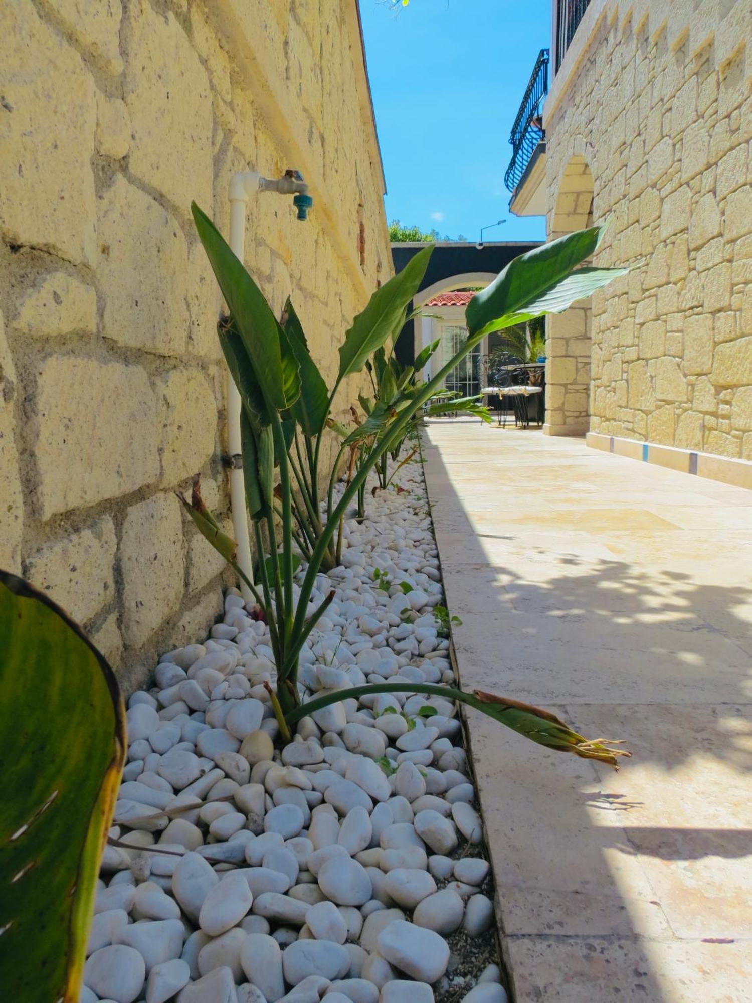 Fedora Otel Алачати Экстерьер фото